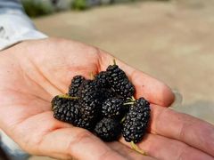 -鹫峰国家森林公园