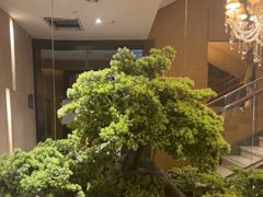-华夏良子·足道SPA艾灸(翠微店)