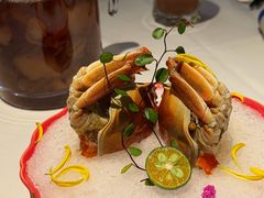 -上海总会SHANGHAICLUB(兴业太古汇店)