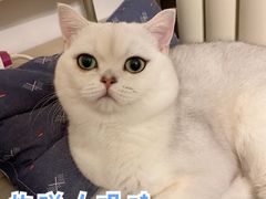 -美迦爱-牙专科·兔科·骨科诊疗中心(北苑店)