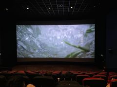 -万达影城(湛江万达广场IMAX店)