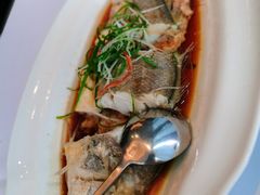 -上海小南国(不夜城店)