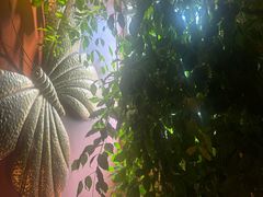 -霖公馆SPA·足道(普善路店)