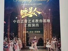 -中央芭蕾舞团·中芭艺蕾(酒仙桥明星校区)
