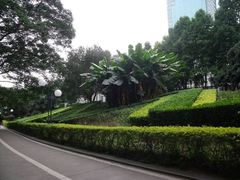 -荔香公园