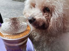 -HANA COFFEE(长寿路店)