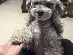 -威海海鲜王(窑头路店)