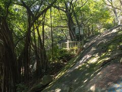 -乌山风景区