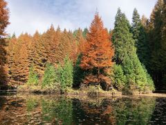 -山王坪喀斯特国家生态公园