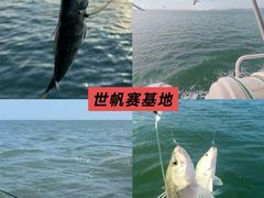 -巧克力渔家.小船海鲜胶东菜(万平口店)