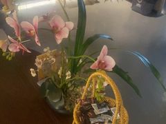 -施奈儿.洗头頭療.按摩SPA.采耳(上梅林店)