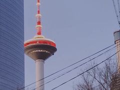 -辽宁电视塔