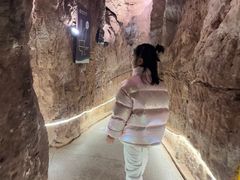 -中国西峡恐龙遗迹园