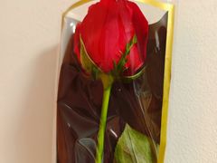 -怡花宜木鲜花店(朝阳路店)