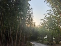 -福建鲤鱼洲酒店