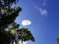 -丰台花园