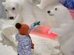 -宁波冰雪大世界(北仑区)