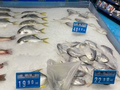 -麦德龙(十里河店)