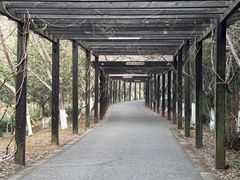 -九龙潭景区