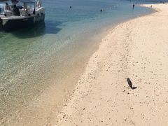 -东姑阿都拉曼海洋公园