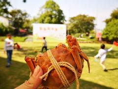 -田园东方蜜桃村的田野营地