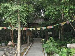 -白草畔自然风景区