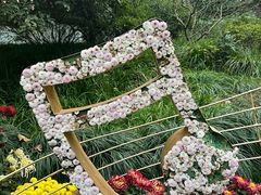 -杭州植物园