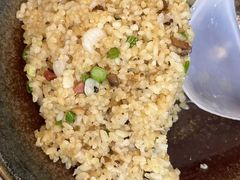 -蘑统田下·野生菌火锅