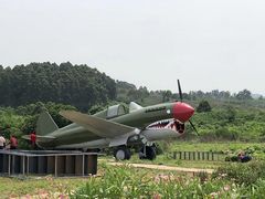 -空港花田景区