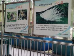 -秦皇岛野生动物园