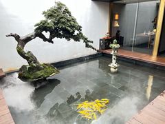 -觀芷隐轩