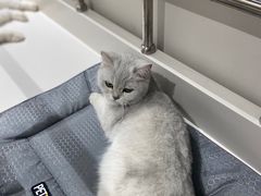 -怪兽屋·羊驼·猫咖·狗咖(俊华广场店)