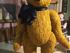 -济州岛泰迪熊博物馆