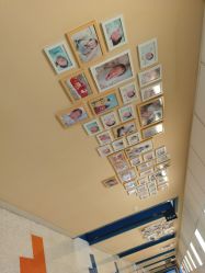 -杭州贝瑞斯美华妇儿医院·早孕·产检·儿科