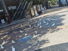 -中粮·祥云小镇