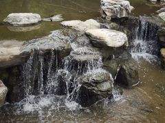 -白水寺森林公园