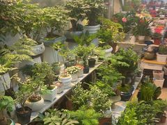 -双季花艺园艺市场(浦东店)