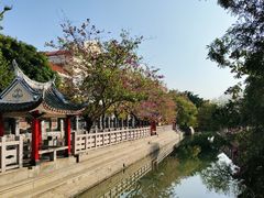 -龙舟池