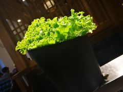 生菜-九田家黑牛烤肉料理(珠江摩尔店)