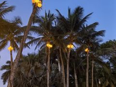 -石梅湾艾美度假酒店