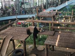 -大连森林动物园