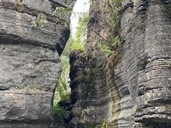 -梭布垭石林景区