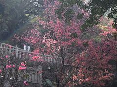 -乌山风景区