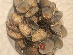 捞汁花蛤-闽海肴(北辰荟店)