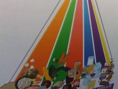 墙面-营养素健康餐厅