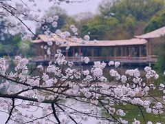 -乌镇景区