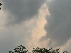 -海珠湖公园