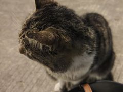 -味友·厦门味(集美店)