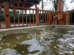 景点-思念果岭悦温泉