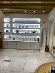 -薇薇安花系SPA